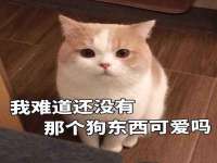 南京众高建筑装饰工程有限公司