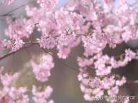 南京众高建筑装饰工程有限公司