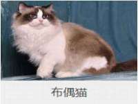 南京众高建筑装饰工程有限公司
