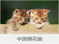 南京众高建筑装饰工程有限公司