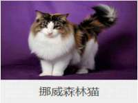 南京众高建筑装饰工程有限公司