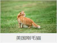 南京众高建筑装饰工程有限公司