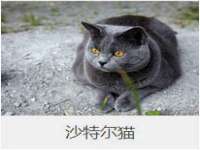 南京众高建筑装饰工程有限公司