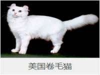 南京众高建筑装饰工程有限公司
