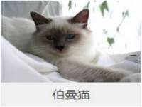 南京众高建筑装饰工程有限公司
