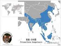 南京众高建筑装饰工程有限公司