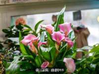 南京众高建筑装饰工程有限公司