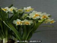 南京众高建筑装饰工程有限公司