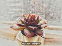 南京众高建筑装饰工程有限公司