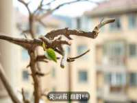 南京众高建筑装饰工程有限公司