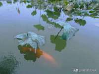 南京众高建筑装饰工程有限公司