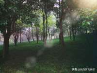 南京众高建筑装饰工程有限公司