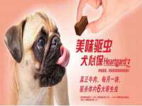 南京众高建筑装饰工程有限公司