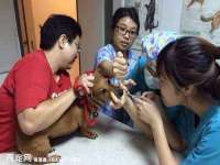 南京众高建筑装饰工程有限公司